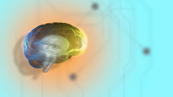 3D-Darstellung hochfunktionierender Gehirnverarbeitungsinformationen in einer transparenten Kugel über hellem digitalen Hintergrund. — Stockfoto