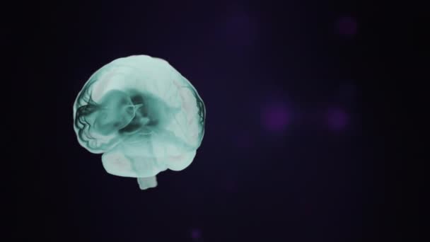 Brain anatomy. Realistic human brain in green shades rotating over black o background. — Stock Video