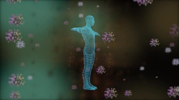 Активація людського імунітету. Віруси атакують людське тіло, яке захищене сильною імунною системою . — стокове відео