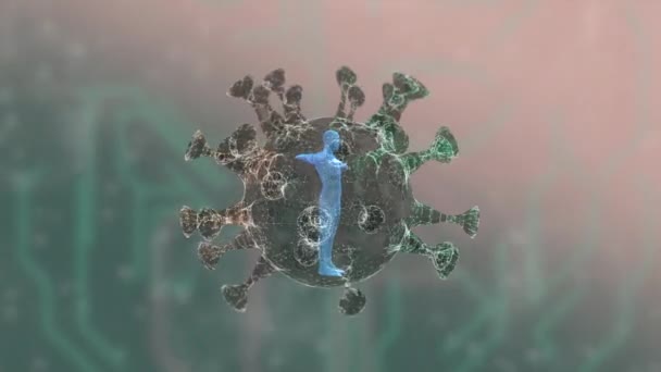 Animasi 3D dari tubuh manusia membusuk di dalam sel virus di atas latar belakang defocused abstrak. — Stok Video