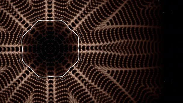 白、茶色、黒の幾何学的なスタイルのクモの巣のアニメーション. — ストック動画