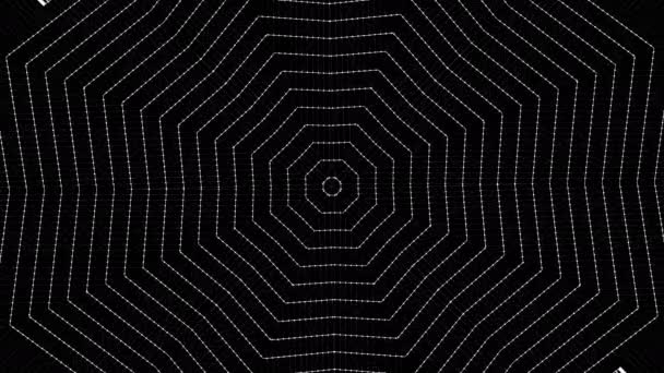 Animazione web Cobweb o ragno in stile geometrico bianco e nero . — Video Stock