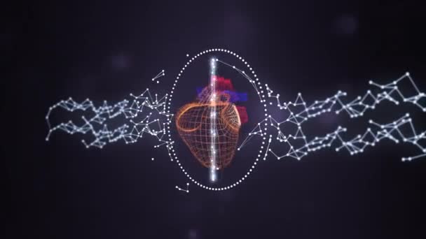 Gridded model of human heart shielded by glowing rings and plexus network, rotating over darl space background. — Stock Video