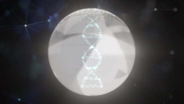 Conceptueel ontwerp van DNA-structuur in witte bol, het bijhouden van genetica-informatie. — Stockvideo