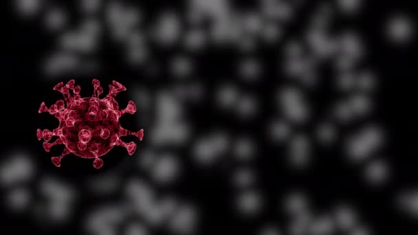 항체는 검은 색 배경 위에 있는 병원체 바이러스를 식별하고 중화시킨다. — 비디오
