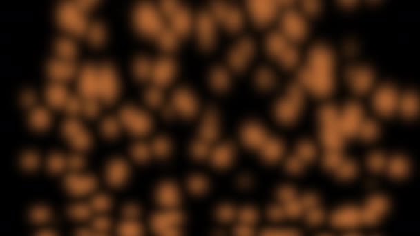 Slumpmässig rörelse av partiklar av glittrande partiklar i bokeh över svart bakgrund. — Stockvideo