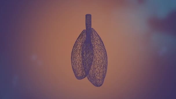 Animacja ludzkich płuc zapalnych i zakażonych chorobą, taką jak zapalenie płuc lub wirus korony. — Wideo stockowe