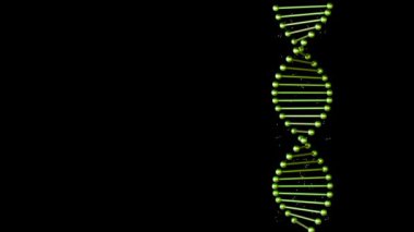 Siyah arka planda dönen yeşil, ışıl ışıl DNA ipliği.
