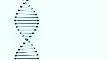 Beyaz bir arkaplanda dönen ve ışıldayan DNA ipliği.