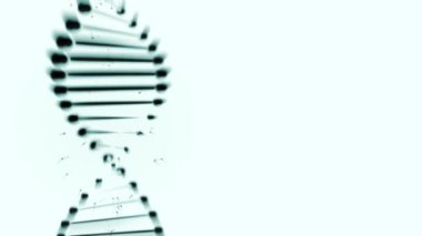 Açık mavi arka planda dönen bir DNA ipliğinin çarpıtılmış kopyası.