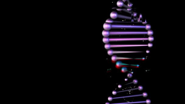 Реалистичная фиолетовая двойная спираль ДНК на черном фоне . — стоковое видео