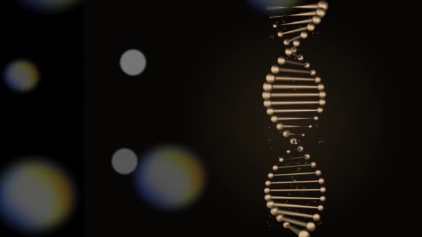 DNA streng spinnnig op een zwarte achtergrond. — Stockvideo