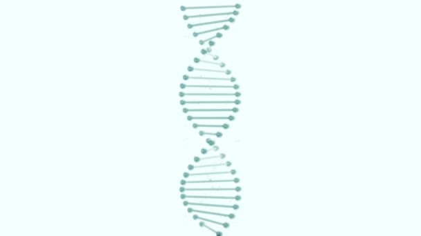 Gerçekçi DNA çifte Hellix açık mavi bir arkaplanda dönüyor. — Stok video