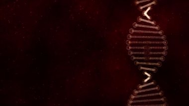 Koyu kırmızı desenli arka planda bozulmuş altın DNA kopyası..