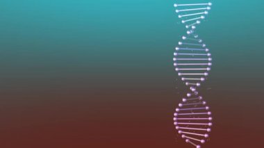 Renkli bir arkaplanda hareket eden gerçekçi DNA ipliği.