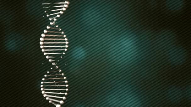 DNA streng spinnnig op een donkergroene textuur achtergrond. — Stockvideo