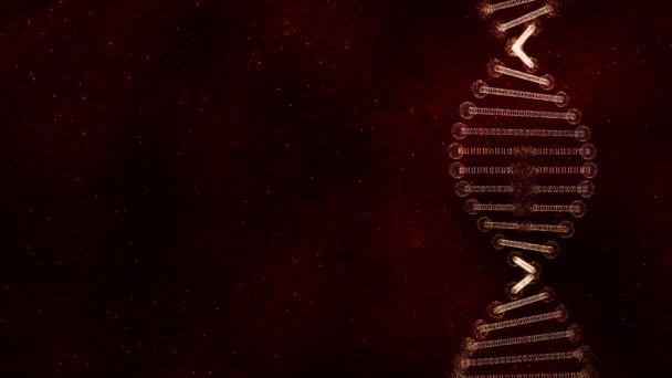 Snedvriden gyllene DNA replika på en mörkt röd lysande strukturerad bakgrund. — Stockvideo