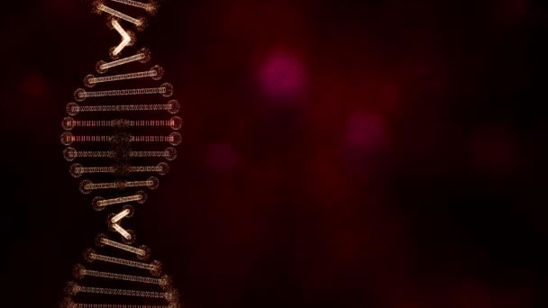 Verzerrte Dna-Replik auf dunkelrotem strukturiertem Hintergrund. — Stockvideo