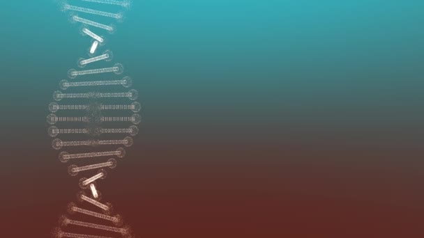 Snedvriden kopia av DNA på en färgad bakgrund. — Stockvideo