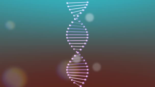 Fio de DNA realista movendo-se sobre um fundo colorido . — Vídeo de Stock