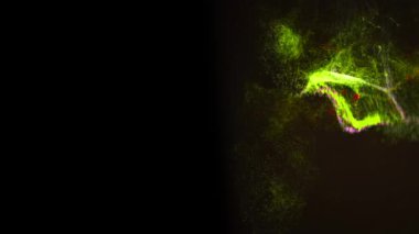 Sarı ve yeşil lekeler koyu arkaplanda kaotik bir şekilde hareket ediyor..