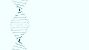Beyaz arkaplandaki DNA 'nın çarpıtılmış kopyası.