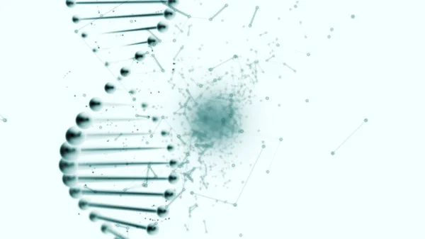 Двойная спираль ДНК и сплетение в середине белого фона . — стоковое фото