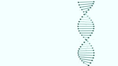 Beyaz arka planda hareket eden ve ışıldayan DNA ipliği.