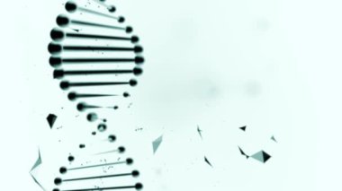 Açık mavi arka planda dönen DNA iplikçiklerinin çarpıtılmış kopyası.