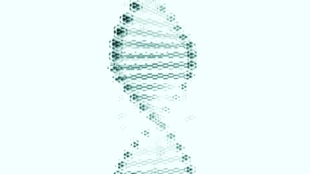 Replica distorta del DNA che gira su uno sfondo bianco . — Video Stock