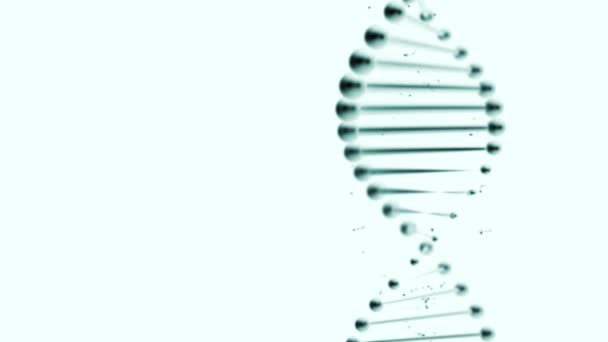 Προκαθορισμένο αντίγραφο του DNA σε λευκό φόντο. — Αρχείο Βίντεο