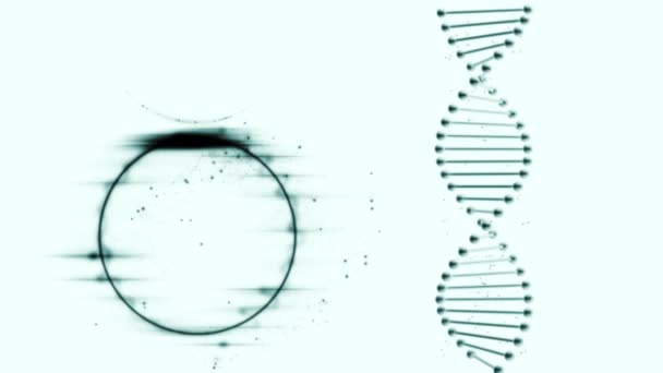 DNA çift sarmal ve siyah ışık üreten bir daire.. — Stok video