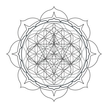 şarap, içki, arka plan, afiş, vektör, illüstrasyon, restauran