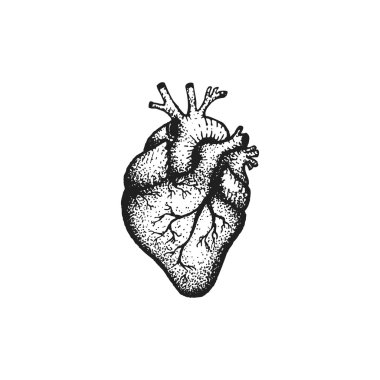 kalp illustratio vektör el çekilmiş