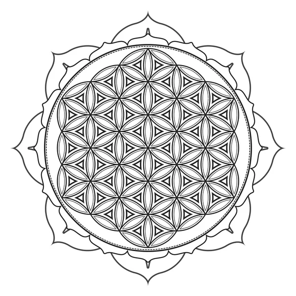 Vector mandala geometría sagrada illustratio — Vector de stock