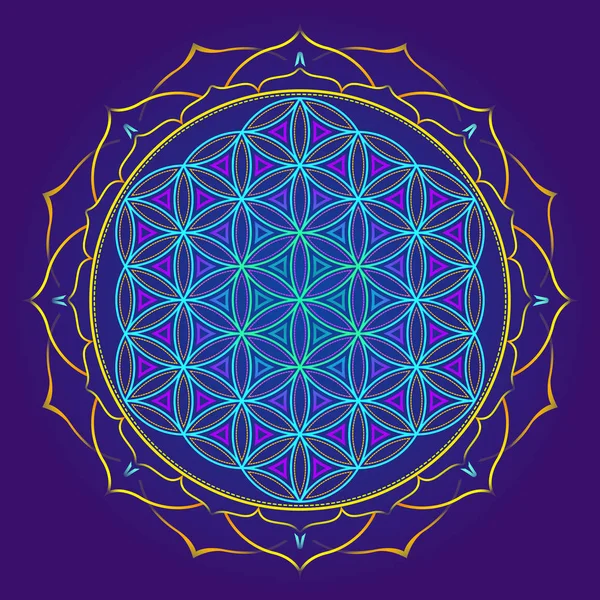 Culoare mandala geometrie sacră ilustratio — Vector de stoc