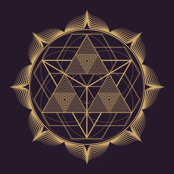 Vector mandala geometría sagrada illustratio — Vector de stock