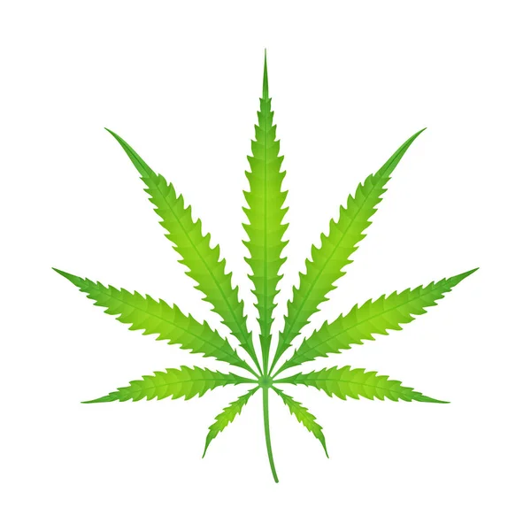 Vecteur couleur cannabis marijuana illustration — Image vectorielle