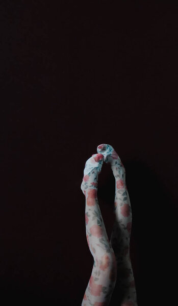 ярко-красная бургундская роза на ветке на фоне зеленых лепестков роз. Макрофотография красивые цветы фон текстуры
