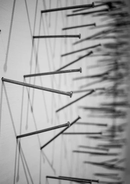 black and white photo of construction nails that are driven into the canvas and cast a shadow on it. macro photography of construction nails black construction nails on a white background nails casting a background on a white background. white painti