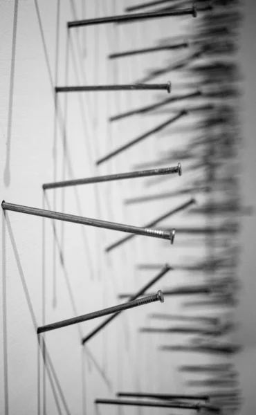 black and white photo of construction nails that are driven into the canvas and cast a shadow on it. macro photography of construction nails black construction nails on a white background nails casting a background on a white background. white painti