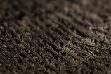 Ağaç gövdesinin kesilmesi. Ahşap iplik halkaları.