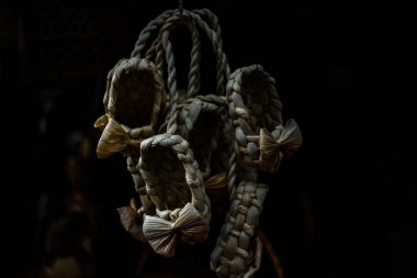 Parlak kırmızı Burgundy yeşil gül yapraklarından oluşan bir dalda yükseldi. makro fotoğraf güzel çiçek arkaplan dokusu