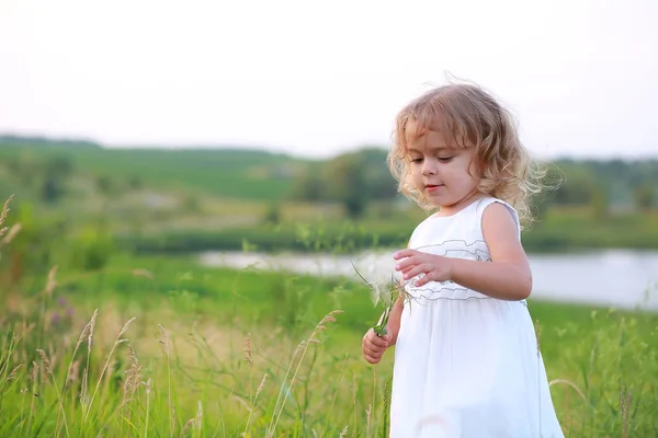 Little girl in a green field with a big dandelion on the background of the lake — Stock Photo, Image