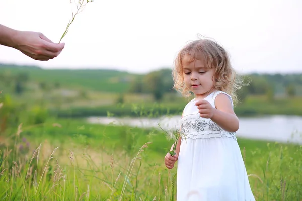 Little girl in a green field with a big dandelion on the background of the lake — Stock Photo, Image