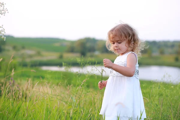 Little girl in a green field with a big dandelion on the background of the lake — Stock Photo, Image