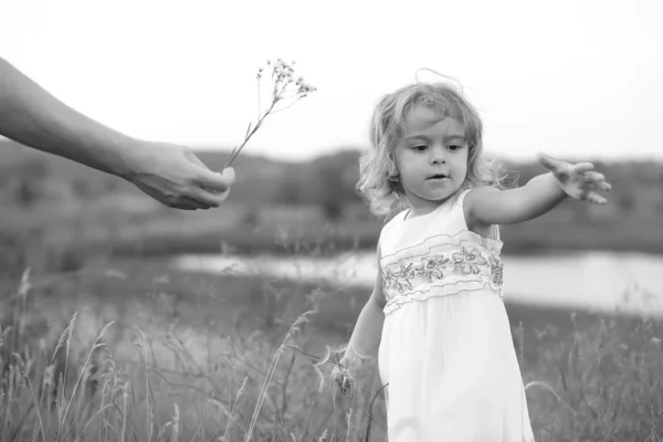 Liten flicka i ett grönt fält med en stor maskros på bakgrunden av sjön — Stockfoto