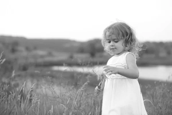 Kislány egy zöld mezőn egy nagy pitypang a háttérben a tó — Stock Fotó