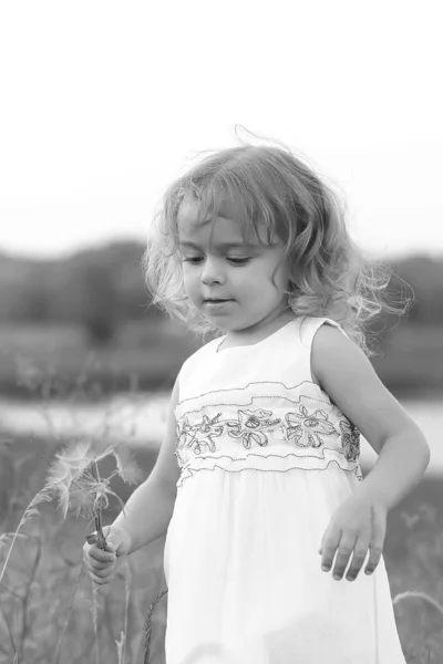 Bambina in un campo verde con un grande dente di leone sullo sfondo del lago — Foto Stock