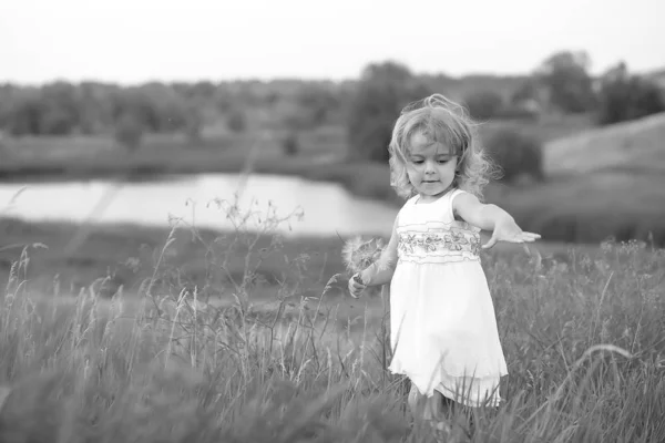 Kleines Mädchen in einer grünen Wiese mit einem großen Löwenzahn auf dem Hintergrund des Sees — Stockfoto